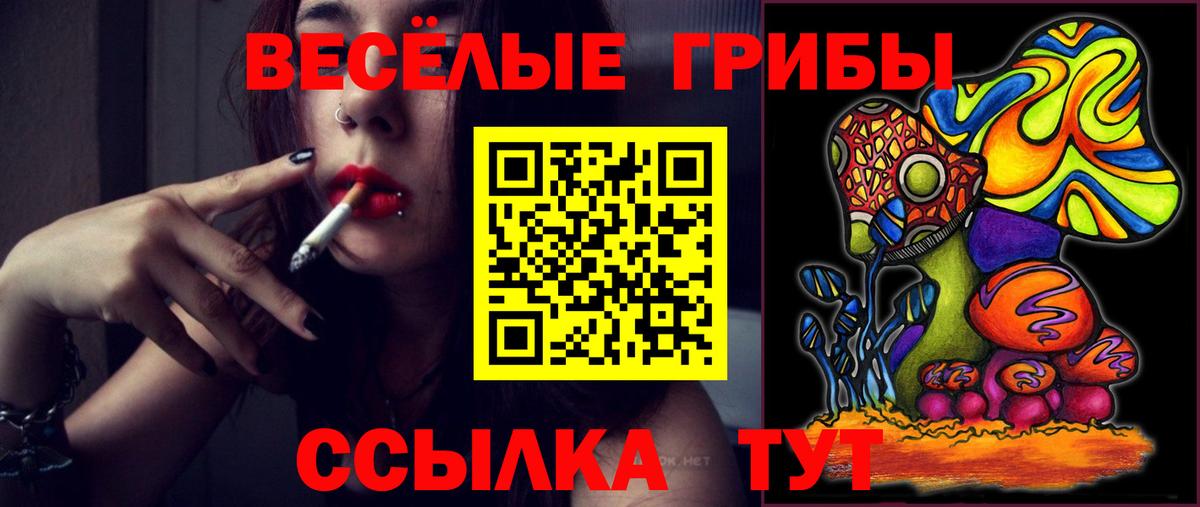 Псилоцибиновые грибы мухоморы Кольчугино